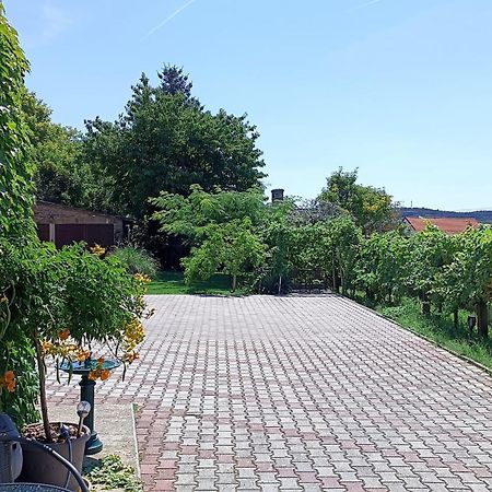 T.H.Ny Village Inn Cottage Tihany Bagian luar foto